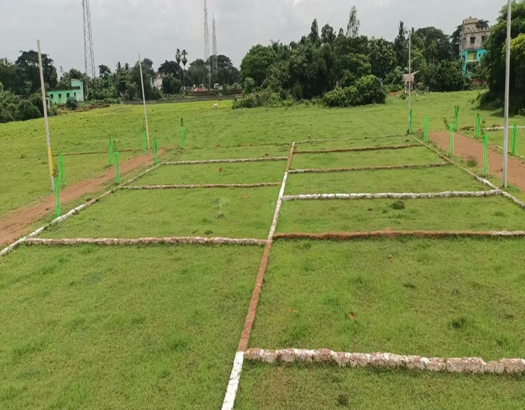Second Image